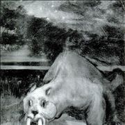 Picture Of Bunyip