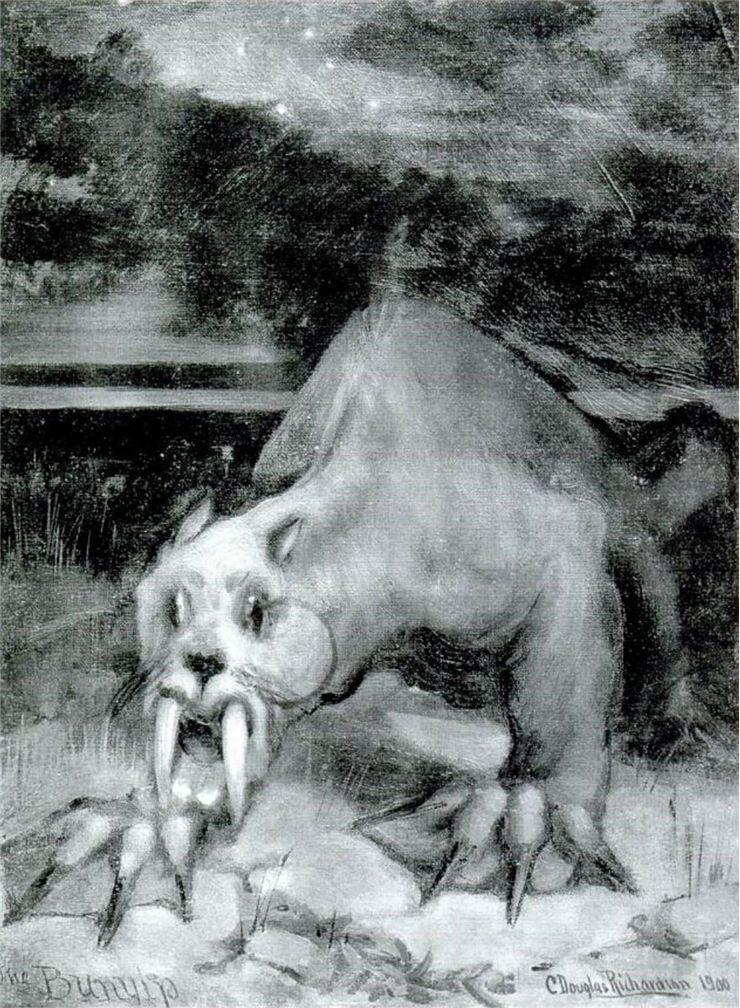 Picture Of Bunyip