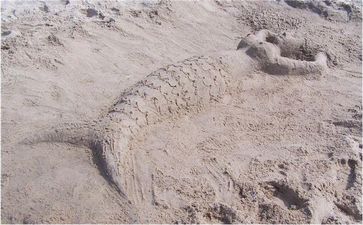 Picture Of Mermaid In Sand