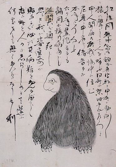 Picture Of Amabiko Japanese Mermaid