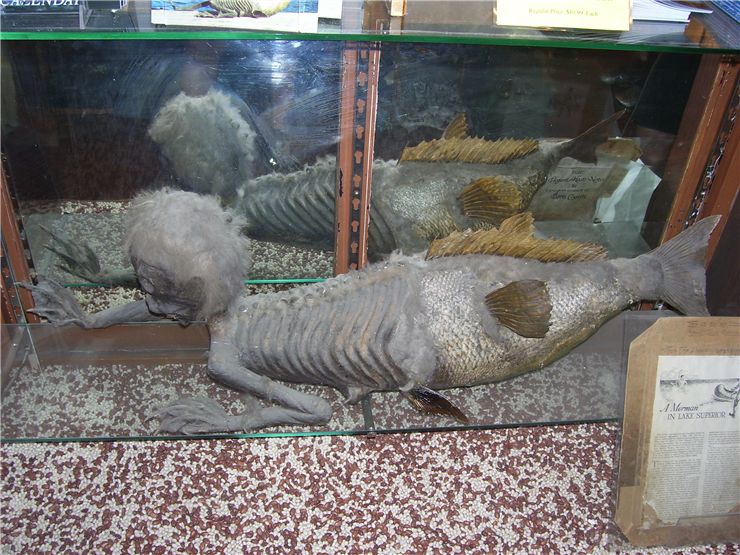 Picture Of Banff Merman